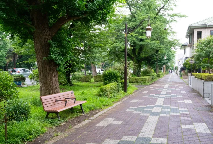 大学通り右側