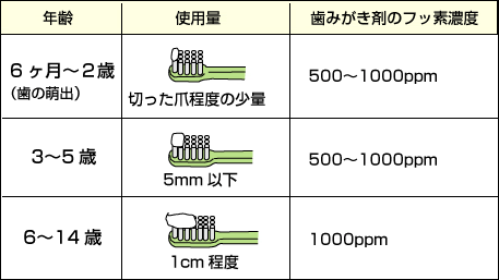 フッ素配合歯みがき剤の年齢別使用例 年齢 使用料 歯磨き剤のフッ素濃度 6か月～2歳（歯の萌出） 3～5歳 6～14歳